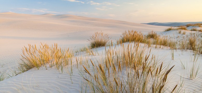 Rzecznik rządu: Zachęcam do wakacji w Polsce