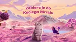 9 na 10 opiekunów kotów w Polsce uważa, że ich kot ma unikalną osobowość – sprawdź, co czyni pupila szczęśliwym