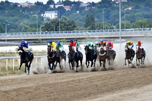 Dame, obucite se elegantno, ponesite šešire ili fascinatore i pravac na "Ladies Day": Galopski derbi u nedelju na  Hipodromu Beograd