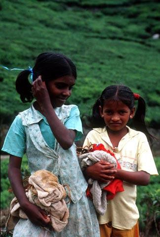 Galeria Sri Lanka - Zielona łza Indii, obrazek 19