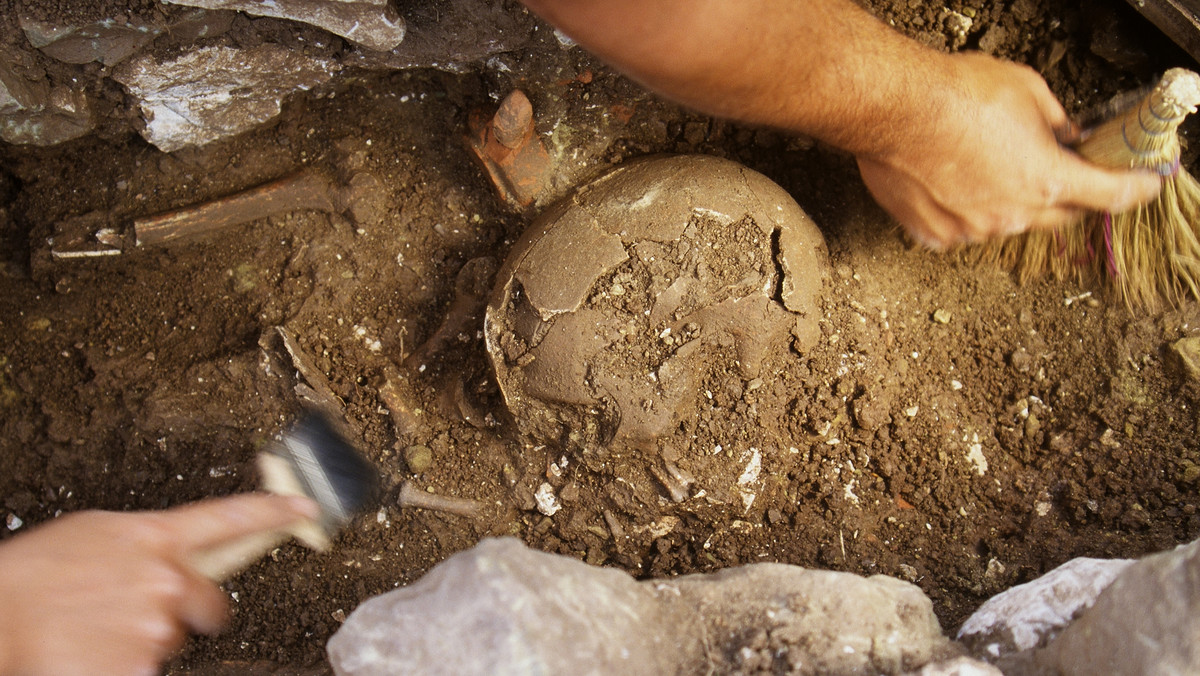 Archeolodzy odkryli tajemnicę azteckiej "wieży czaszek", znajdującej się na terenie Meksyku. Odkryta w 2015 roku wieża była jedynie niewielką częścią całej konstrukcji z czaszek, wielkości boiska do koszykówki - donosi "Daily Mail".