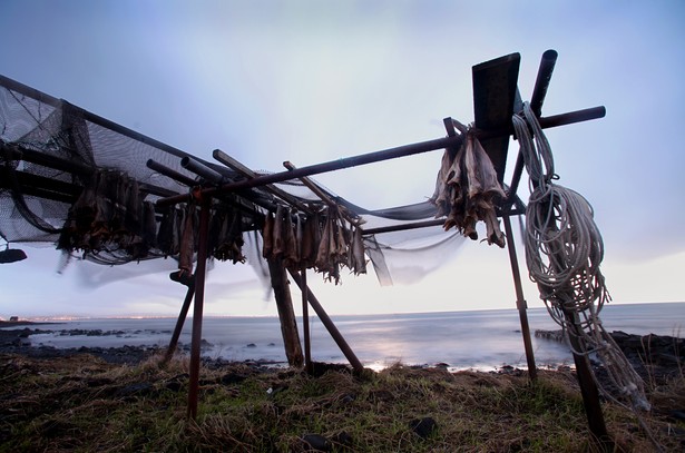 Sieci na dorsza suszą się nad morzem w okolicach Reykjaviku. Fot. Bloomberg