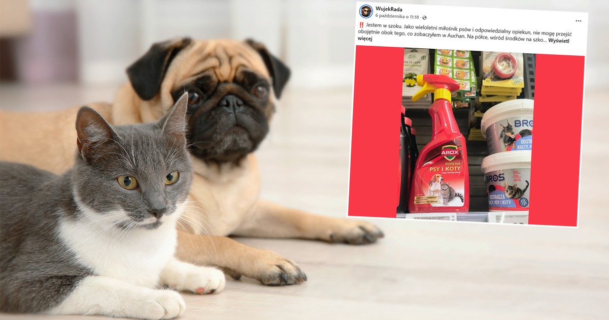 Zobaczył to na półce w sklepie i aż się zagotował. "Rozważam pozew"