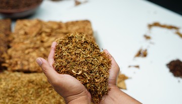 Legislacyjny walec rozjeżdża rynek