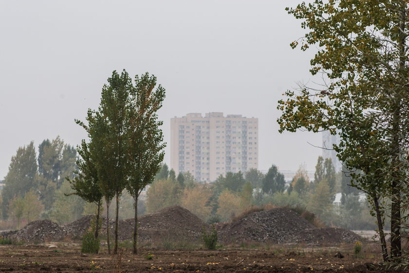 Miasto potrzebuje pieniędzy na Park Rataje