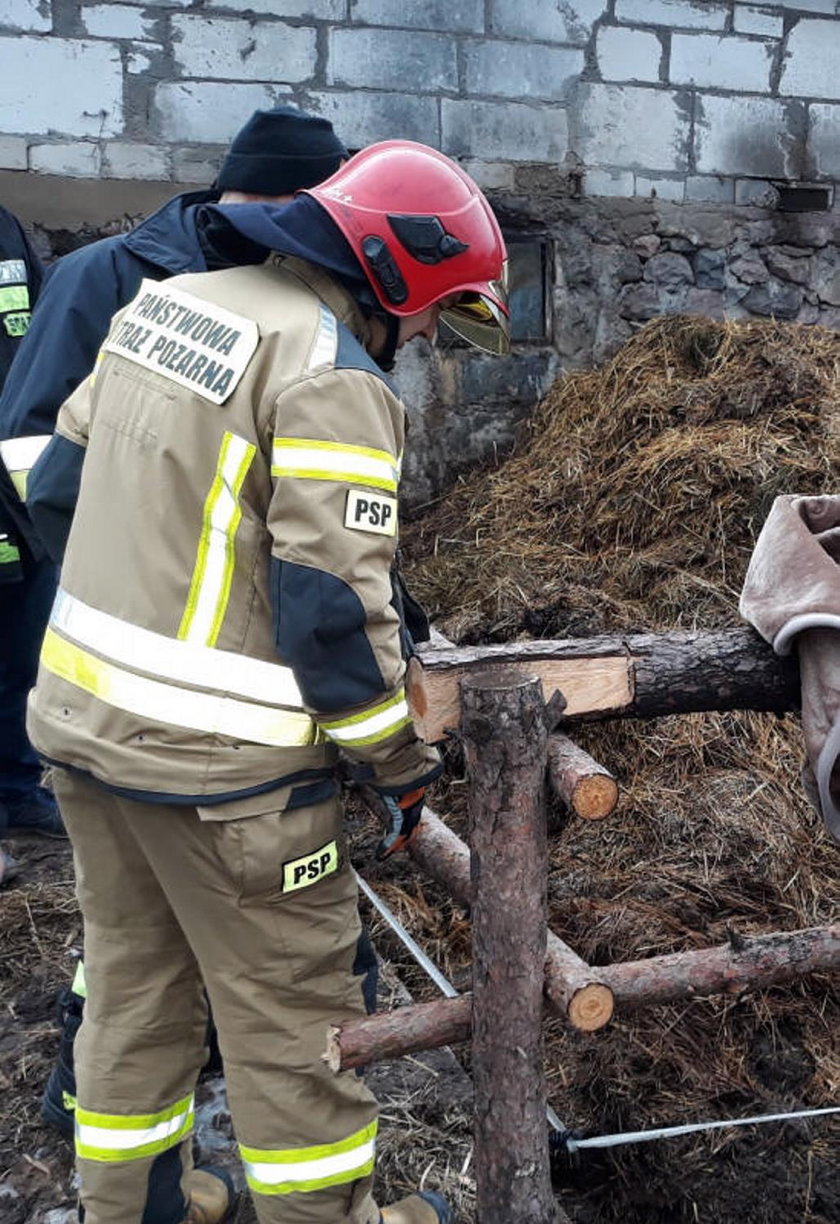 Tragedia na Mazurach. Trzylatek wpadł do szamba