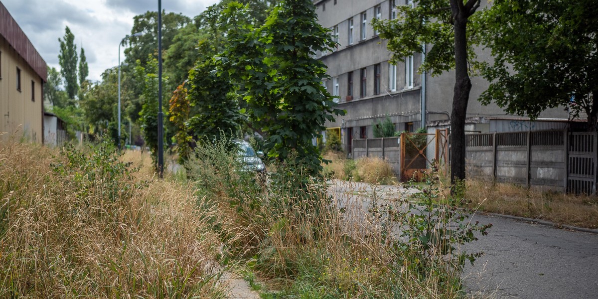 Osiem stref koszenia w mieście