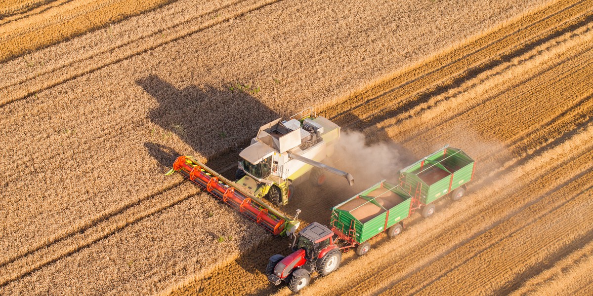 Centralny system KRUS odpowiada za obsługę ubezpieczeń społecznych i zdrowotnych, a także świadczeń krótkoterminowych i wypadków w rolnictwie