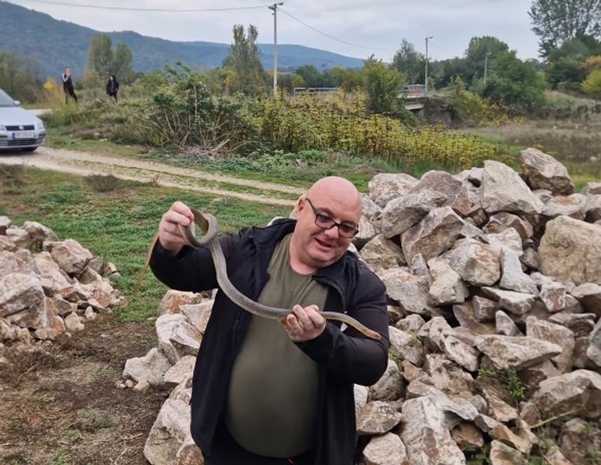Uhvaćena zmija u Pirotu