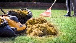 kiedy wertykulacja trawnika po zimie? kluczowe zasady wertykulacji