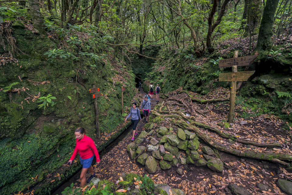 Levada do Caldeirao Verde