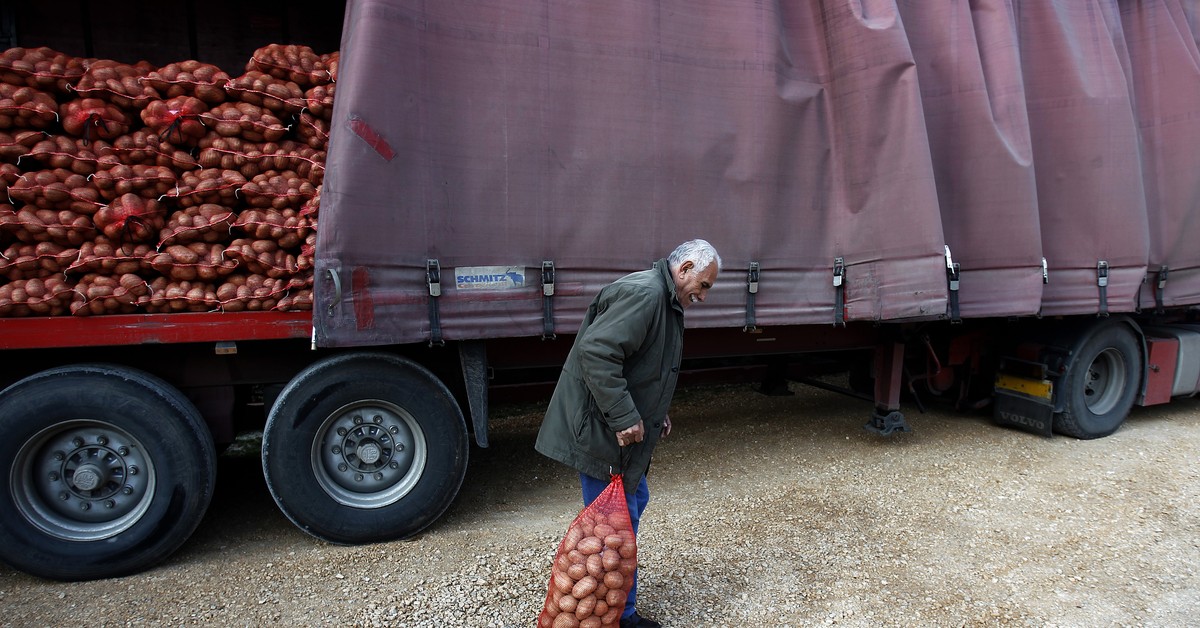 Przyjechali na pole i zabrali rolnikowi 150 ton ziemniaków. Myśleli, iż sam dał ogłoszenie w mediach społecznościowych
