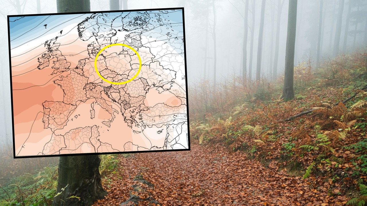 Amerykanie pokazali, jaka pogoda czeka nas jesienią. Te prognozy mogą niepokoić