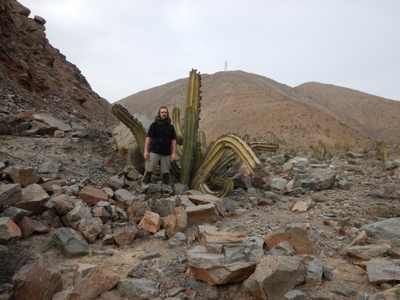 Stevan Avramov u Peruu