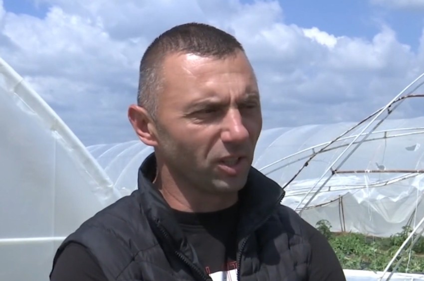 Damir Stanisavljević