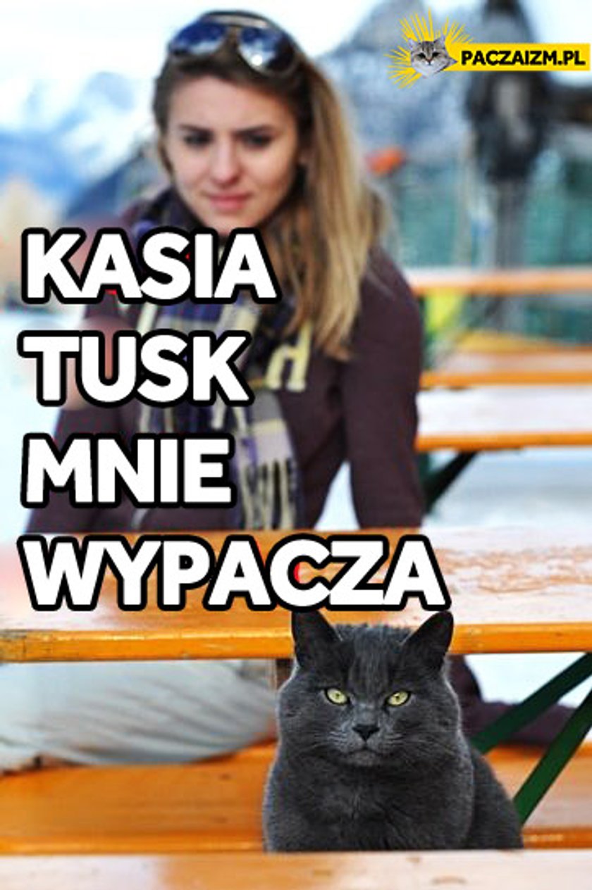 Memy z Kasią Tusk