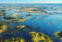 Delta Okavango