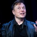 Elon Musk krytykuje serial "Władca Pierścieni: Pierścienie Władzy": "Tolkien przewraca się w grobie"