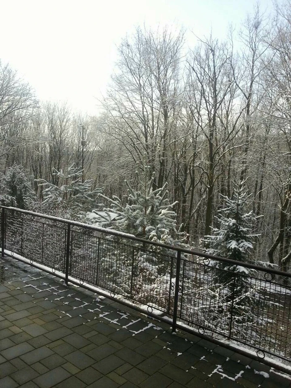 Šuma u Slovačkoj gde se nalazio kolektivni smeštaj