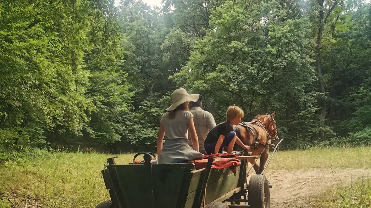 Sa mužem i četvoro dece napustila sve u Nemačkoj pa se preselili u selo na Balkanu