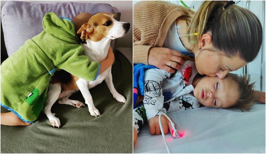 Samuel bardzo tęskni za swoim psem. Pobyty w szpitalu odbierają mu wiele pięknych chwil