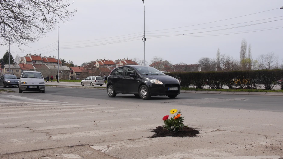 Niška gerila sadila cveće u rupe na kolovozu da bi ukazala na problem