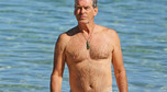 Pierce Brosnan