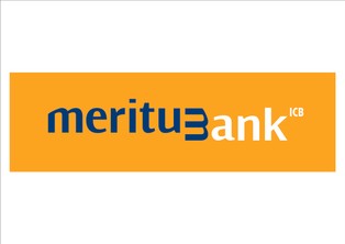 Meritum Bank odstąpił od emisji akcji i debiutu na NewConnect