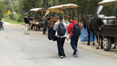 Awantura o konie na szlaku do Morskiego Oka. "Nie powiem tego pod nazwiskiem"