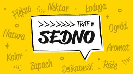 Sedno