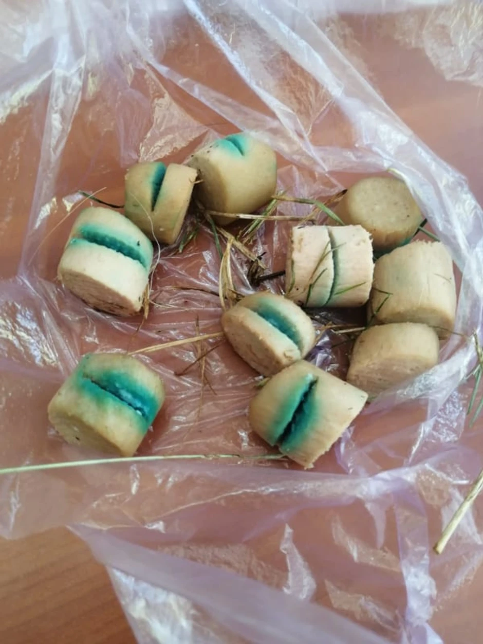 Otrov u vrišlama pronađen u Pančevu poslat na analizu na VMA