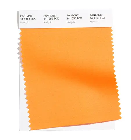 Marigold, fot. Pantone. com