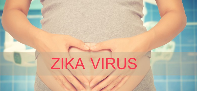 Czy Polkom grozi wirus Zika? Eksperci tłumaczą