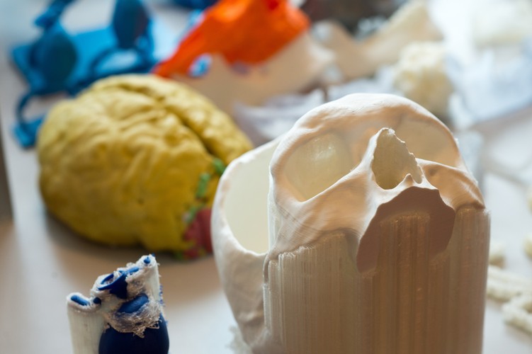 POLSCY NAUKOWCY DRUKUJĄ TRÓJWYMIAROWE MODELE KOŚCI