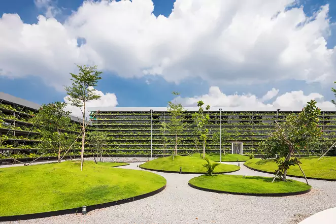 Innowacyjna fabryka z roślinną wentylacją w Wietnamie
