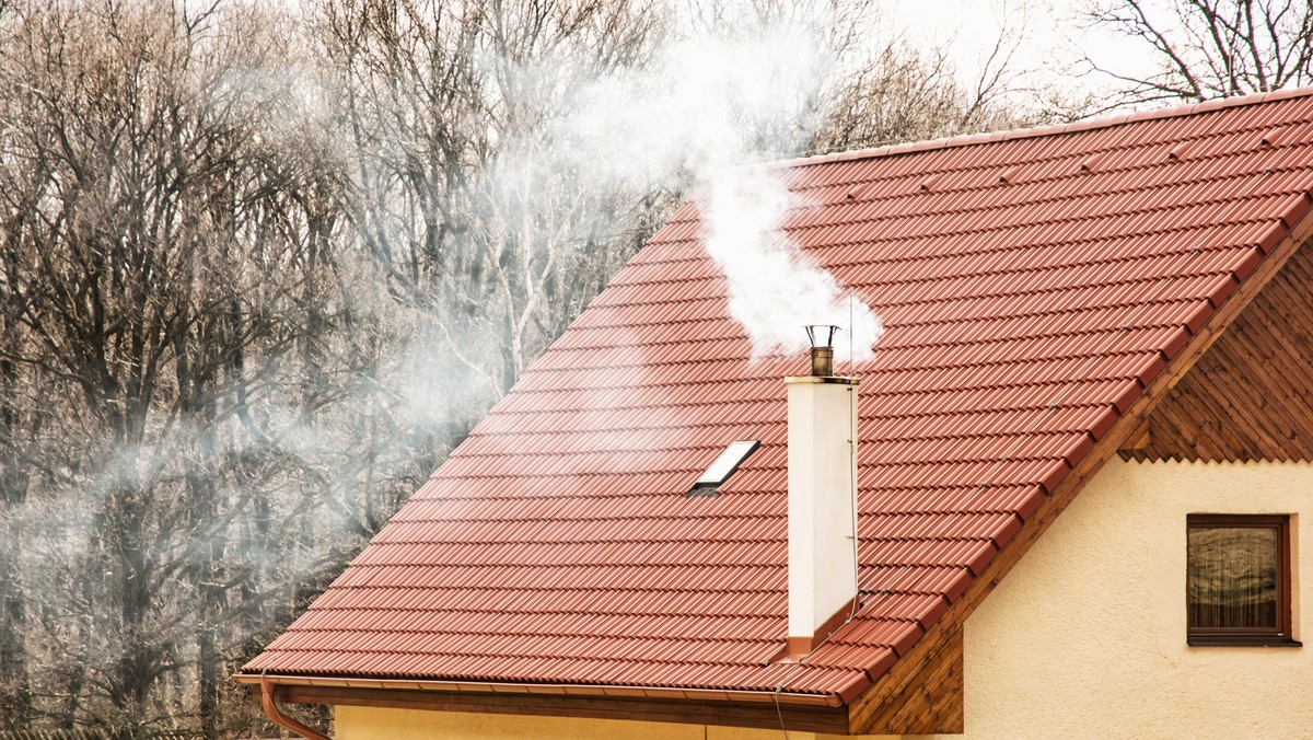 Zdecydowanych kroków w tej sprawie domagali się aktywiści i mieszkańcy, zaniepokojeni zanieczyszczonym powietrzem w swoich miastach. W okresie zimowym ze smogiem zmagał się nie tylko Poznań, ale także Kalisz, Konin czy Piła. Regulacje, nad którymi prace rozpoczął specjalny zespół, mogą więc objąć całe województwo.