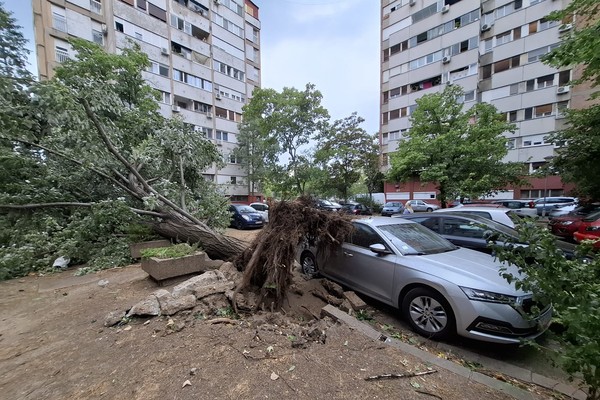 Dragan Ambrozić i Nenad Zlatanović