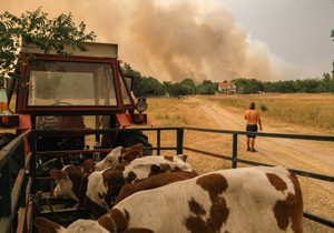 Deliblatska peščara
