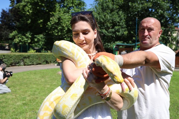 BEO ZOO VRT SLAVI 90. ROĐENDAN Preživeo dva bombardovanja, dom je najstarijeg ALIGATORA na svetu, a danas u njemu živi oko 2.000 životinja