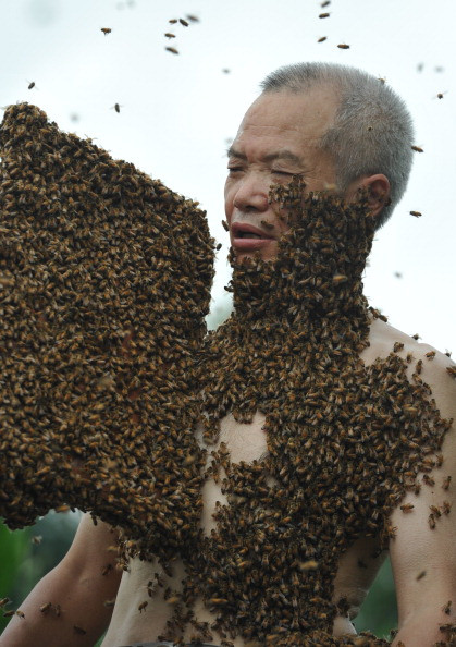 Cały w pszczołach