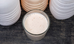 Fermentacja mlekowa – bakterie na straży zdrowia