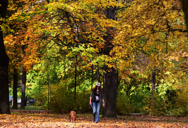 Autumn in Novi Sad