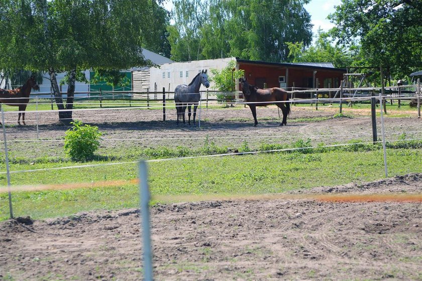 Straż miejska w Łodzi otwiera po raz kolejny letni konny posterunek na Lublinku