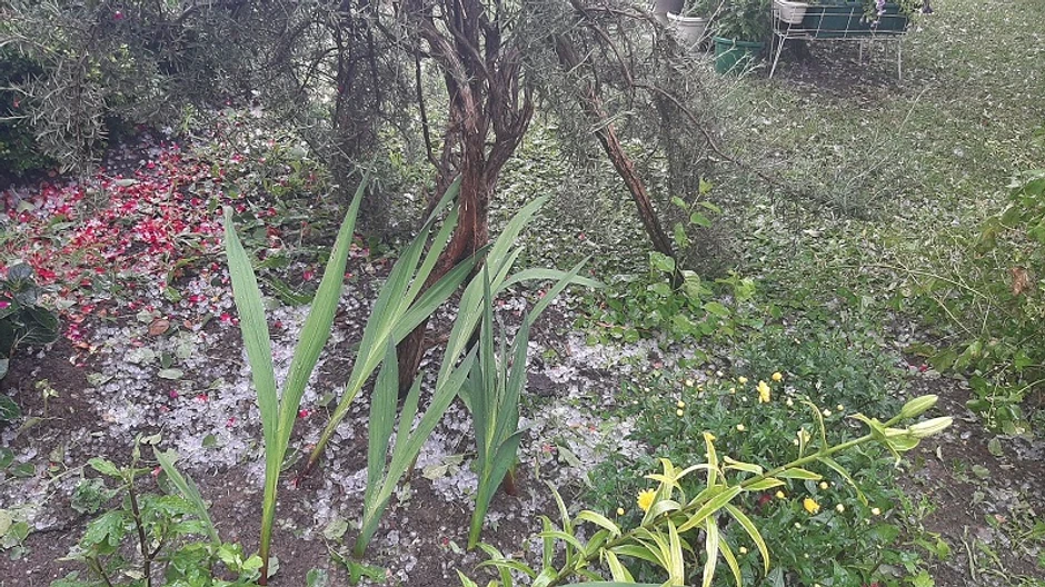 Grad je uništio veliki deo useva u centralnom delu Srbije