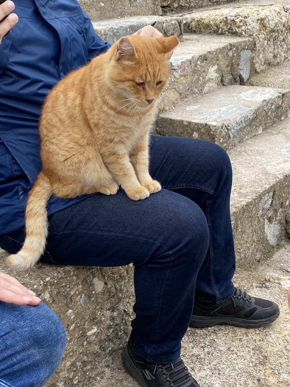 Garfield z Efezu