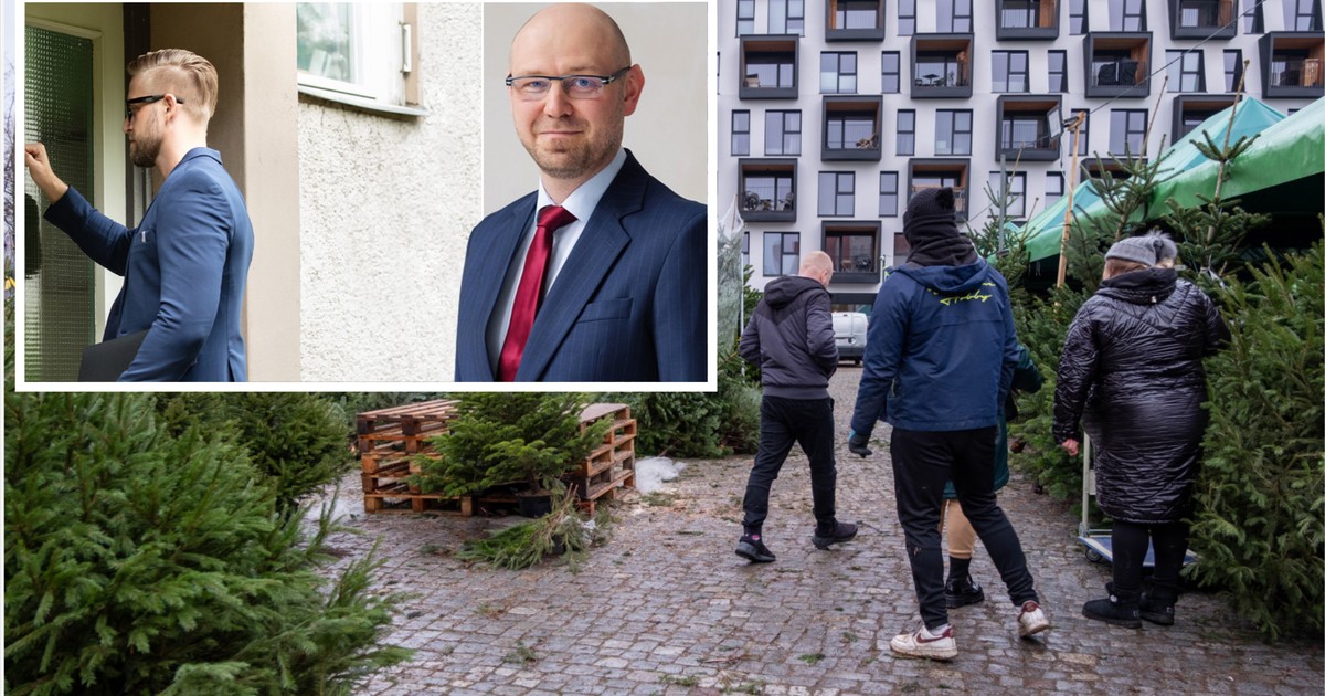 "Bierze L4 na kręgosłup, a taszczy choinkę". Kontrolerzy walczą z "bigosowymi" zwolnieniami