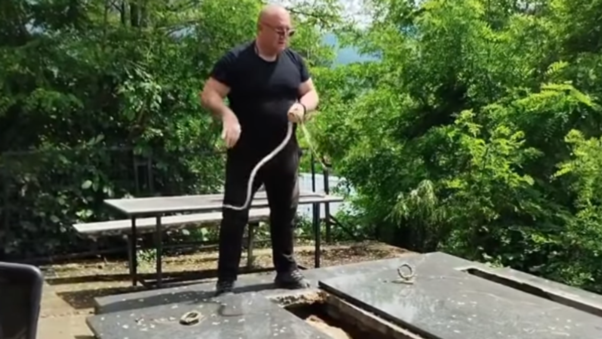 Čuveni zmijolovac Vladica izvadio zmiju iz groba: "Kad legneš živ u grob"