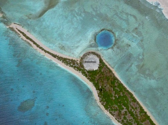 Kopuła "Cactus dome" na wyspie Runit - widok z Google Maps