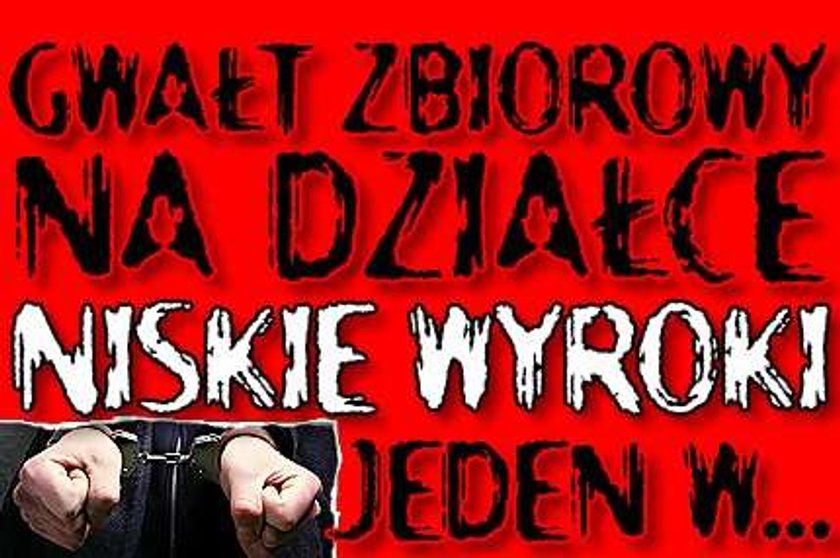 Gwałt zbiorowy na działce. Niskie wyroki. Jeden w zawieszeniu, bo...