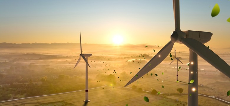 Nietoperze zablokują wiatraki? "Ustawa będzie kolejnym bublem"